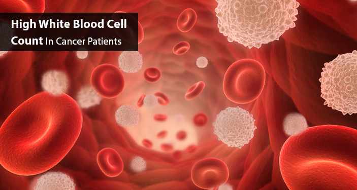 how-to-increase-your-white-blood-cell-count-top-10-home-remedies